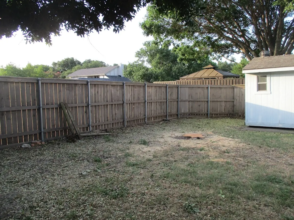 Cleared yard after professional tree removal in Limestone
